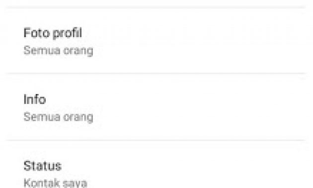 Mengetahui Fitur Rahasia Pada Whatsapp