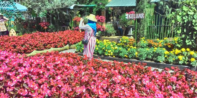 Wisata Romantis di Lembang