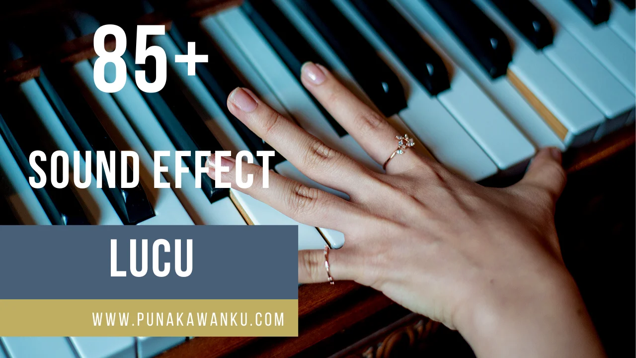 DOWNLOAD SOUND EFFECT LUCU untuk YOUTUBE dan Instagram