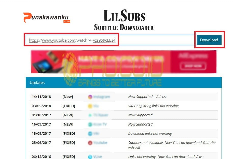 Lilsubs.com