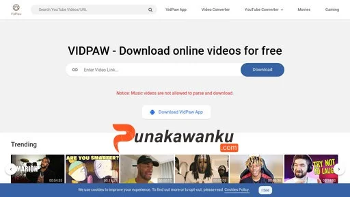 Vidpaw.com