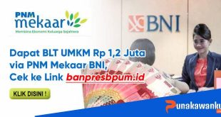 BLT UMKM Rp1,2 Juta Via PNM Mekaar BNI Sudah Cair
