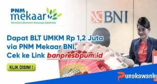 BLT UMKM Rp1,2 Juta Via PNM Mekaar BNI Sudah Cair